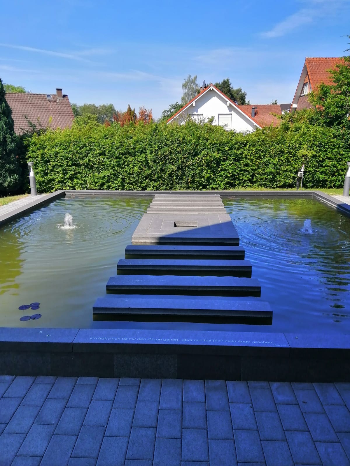 2020-05-26 Seerosenteich an der GK (c) Brigitta Schelthoff